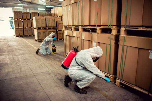 Best Emergency Pest Control  in Wrightsville, AR
