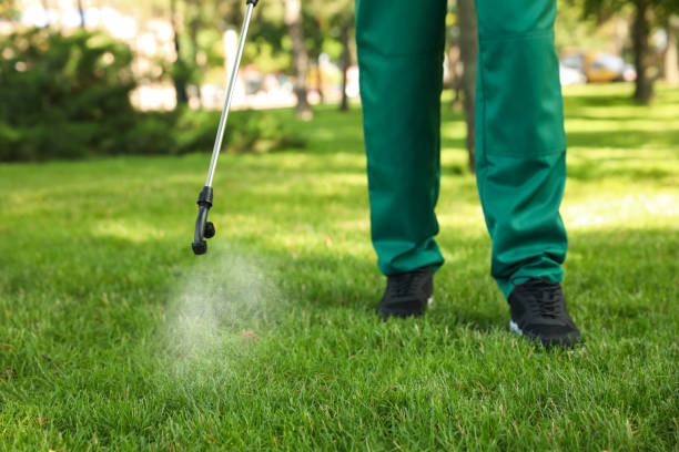 Best Ant Control Services  in Wrightsville, AR