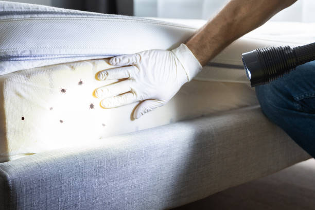 Wrightsville, AR Pest Control Company