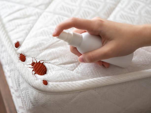 Best Affordable Pest Control Services  in Wrightsville, AR