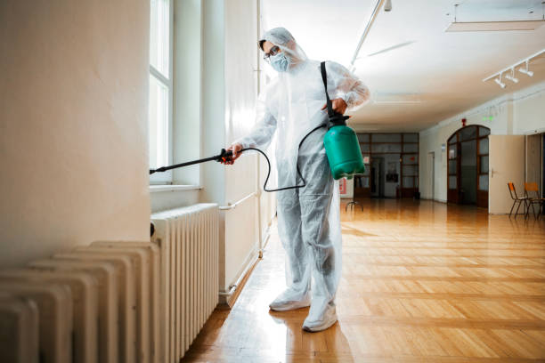 Best Best Pest Control Companies  in Wrightsville, AR