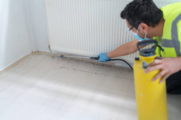 Best Cockroach Control Services  in Wrightsville, AR
